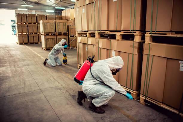 Best Mosquito Control Services  in Winston Salem, NC