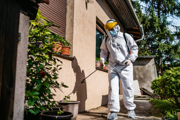 Best Exterminator Services  in Winston Salem, NC