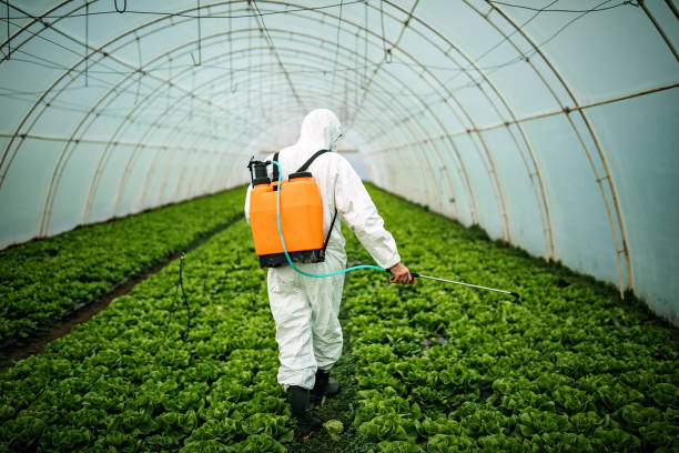 Best Mosquito Control Services  in Winston Salem, NC