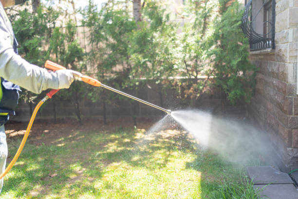 Trusted Winston Salem, NC Pest Control Experts