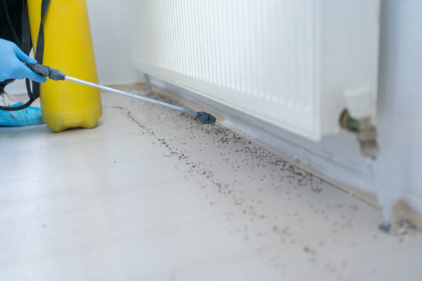 Reliable Winston Salem, NC Pest Control Solutions