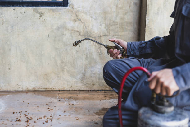 Best Wasp Removal Services  in Winston Salem, NC